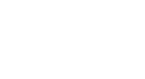 Log 2020 Limited